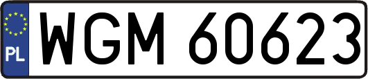 WGM60623