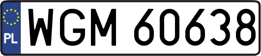 WGM60638