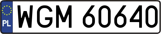 WGM60640