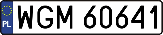 WGM60641