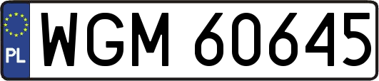 WGM60645