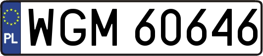 WGM60646