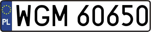 WGM60650