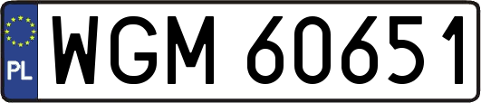 WGM60651