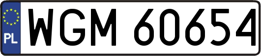 WGM60654