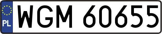 WGM60655