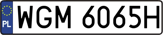 WGM6065H