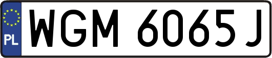 WGM6065J