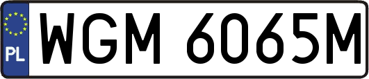 WGM6065M