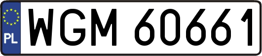 WGM60661