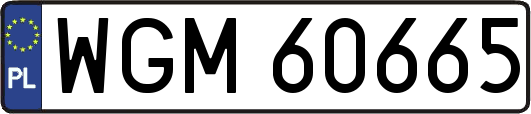 WGM60665