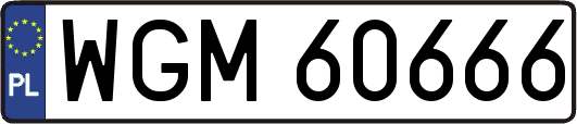WGM60666