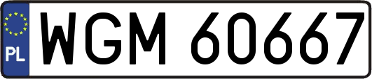 WGM60667