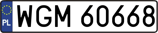 WGM60668