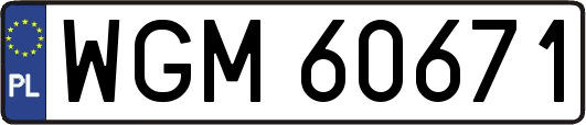 WGM60671