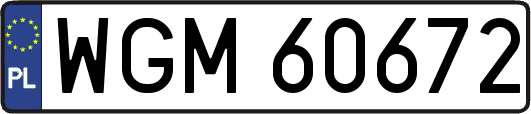WGM60672