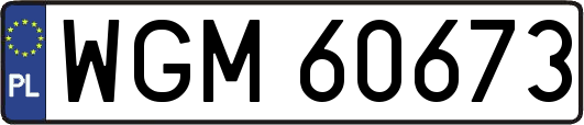 WGM60673