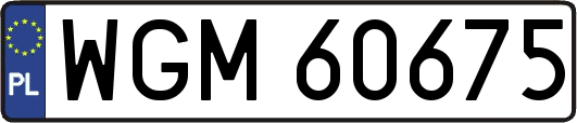 WGM60675