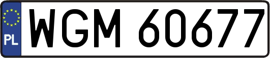 WGM60677