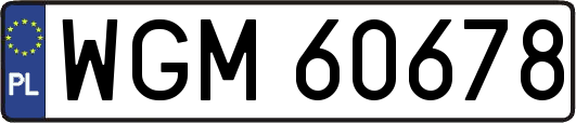 WGM60678