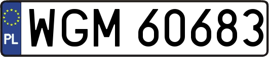 WGM60683