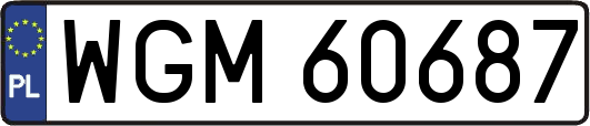 WGM60687