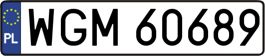 WGM60689