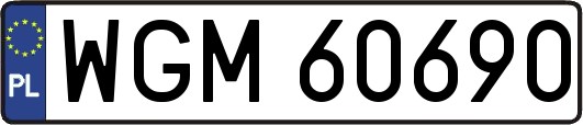 WGM60690