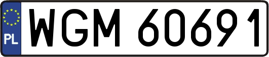 WGM60691