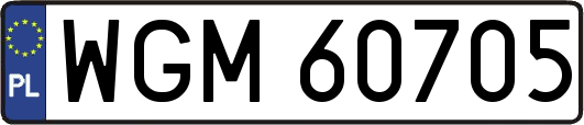 WGM60705