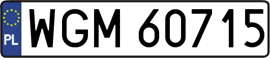 WGM60715