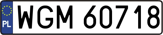 WGM60718