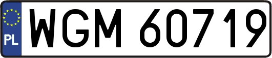 WGM60719