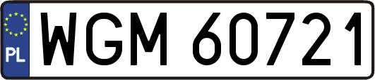 WGM60721