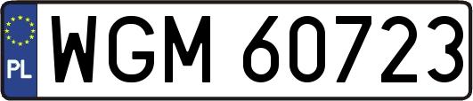 WGM60723