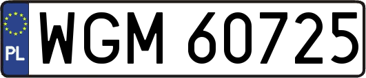 WGM60725
