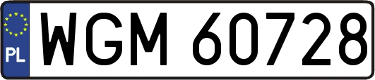 WGM60728