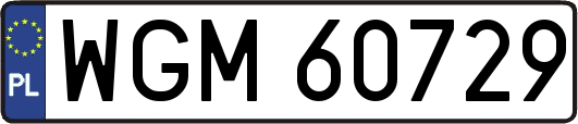 WGM60729