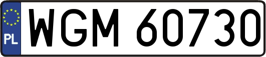 WGM60730