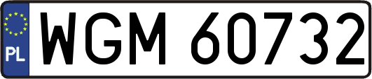 WGM60732