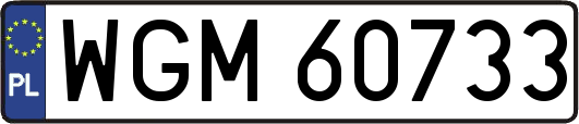 WGM60733