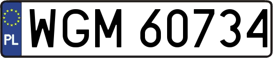WGM60734