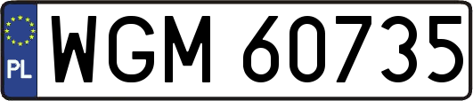 WGM60735