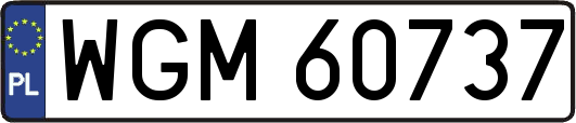 WGM60737