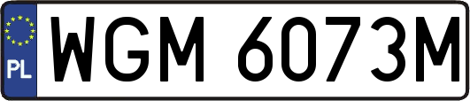 WGM6073M