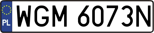 WGM6073N