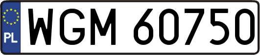 WGM60750