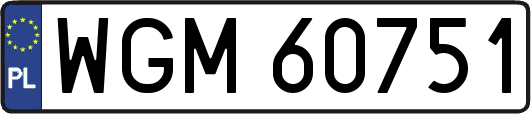 WGM60751
