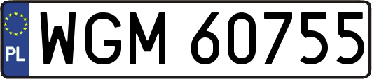 WGM60755