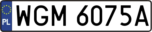 WGM6075A